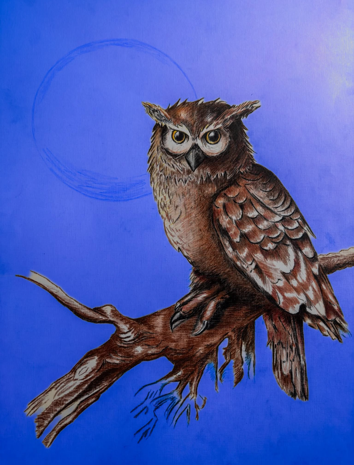 Illustration of an owl on a branch against a blue background